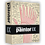 painter_IX.gif
